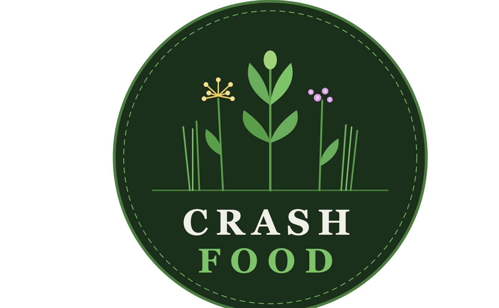 Crash Food